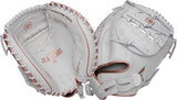 Catcher's Mitts